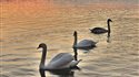 Lago di Varese