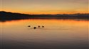 Lago di Varese